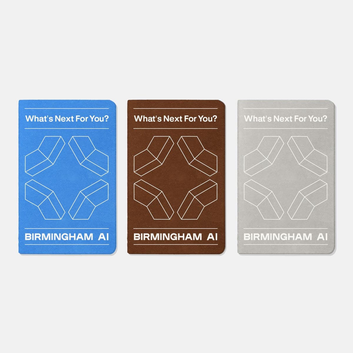 Three Birmingham AI notebooks in blue, brown and grey, each with What's Next For You? and the wireframe mark